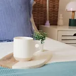 Euphoria Urban Nest Апартаменти *